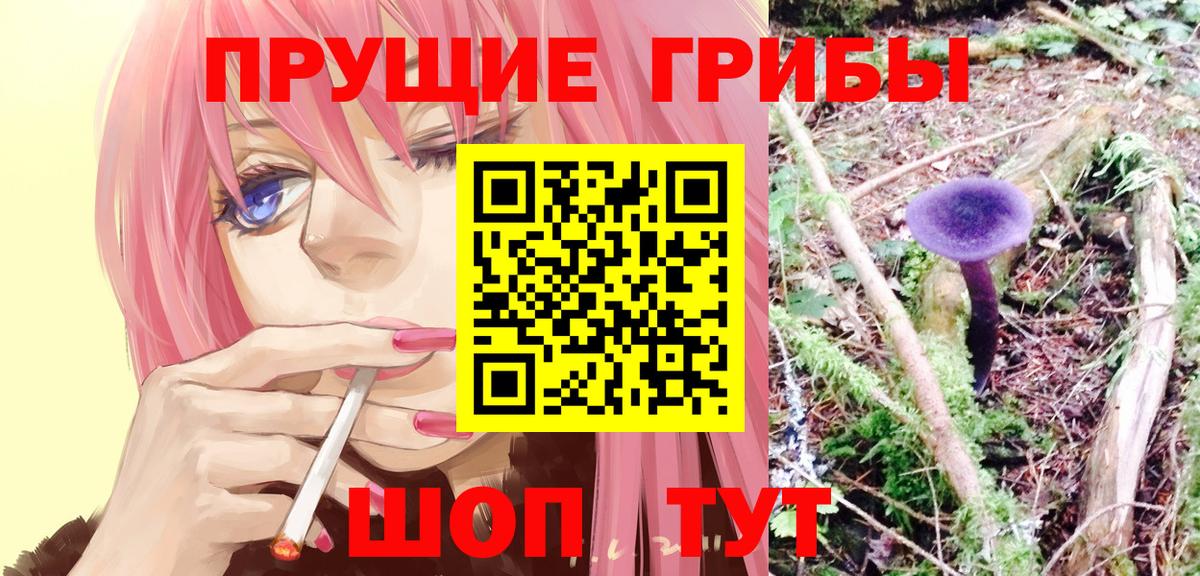 Галлюциногенные грибы ЛСД  купить наркоту  Ревда  Галлюциногенные грибы прущие грибы  Вход с VPN 